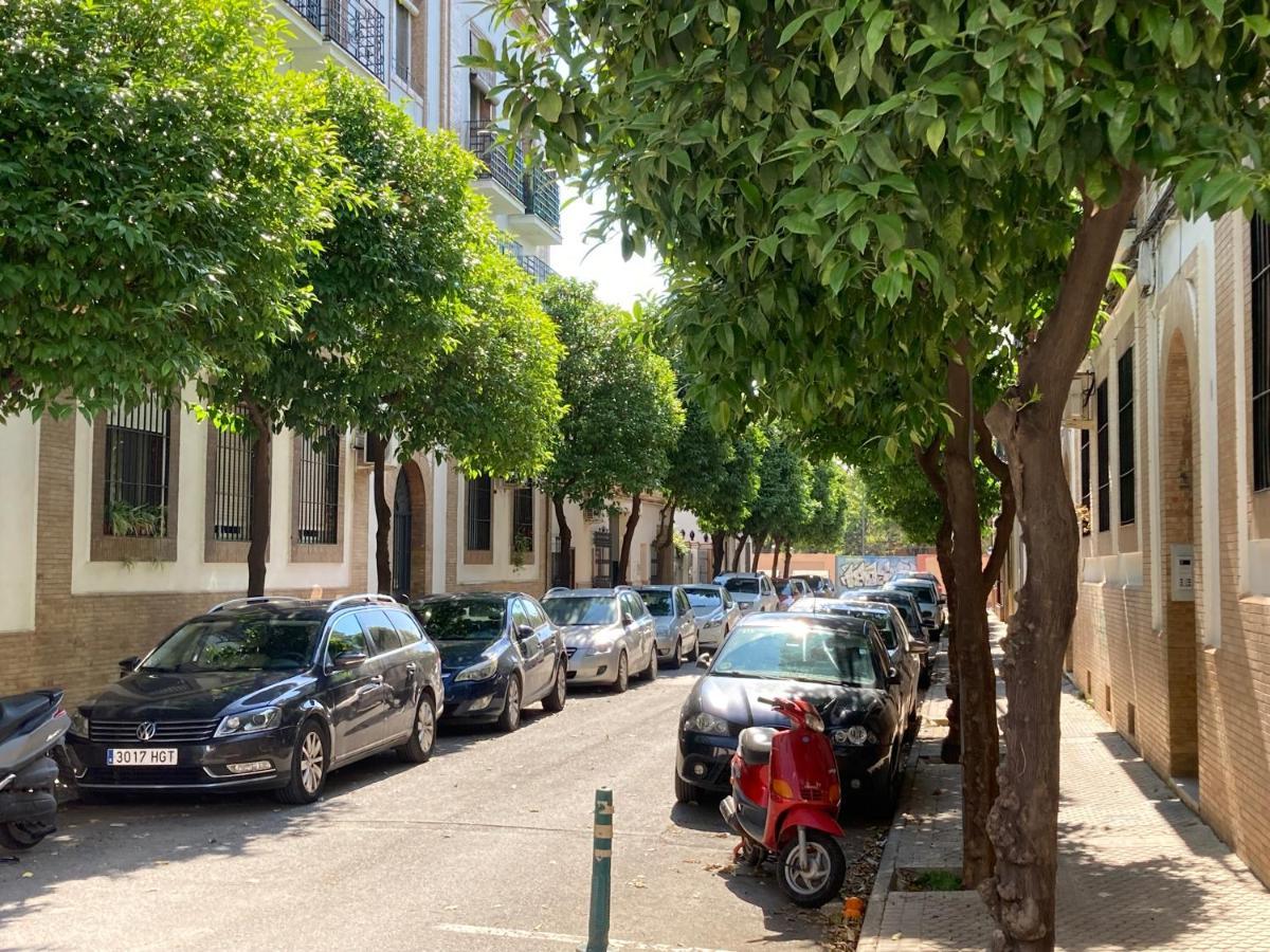 Acogedor En Semisotano Con Patio Y Cerca De La Plaza De Espana
